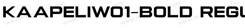 KaapeliW01-Bold Regu字体转换
